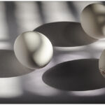 C35-dking-A1-Eggs in Shadow
