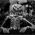 Southeast Queens Camera Club_Crystal Parker_Mr. Pumpkinhead_20251028