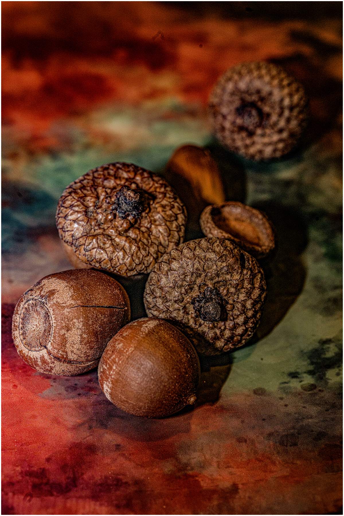 dheggie_Color Digital Salon_Acornucopia_Dianne Heggie