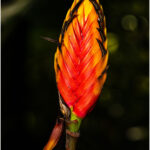 ByronHenry_woven flower