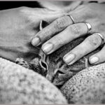 C35-HDBryan-Ba-New Kitty.jpg